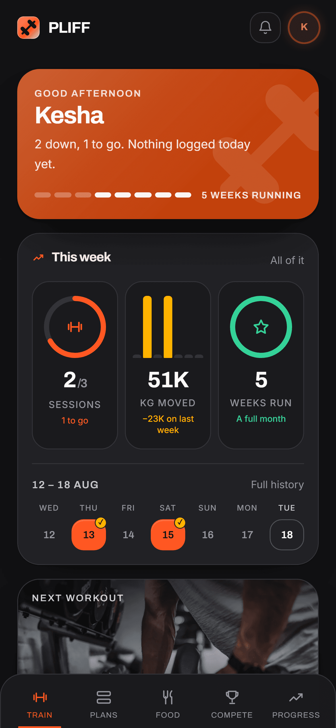 The PLIFF dashboard: two of three sessions done this week, 51,000kg moved, a five-week run, and a Push programme card with the worked muscles lit on a figure